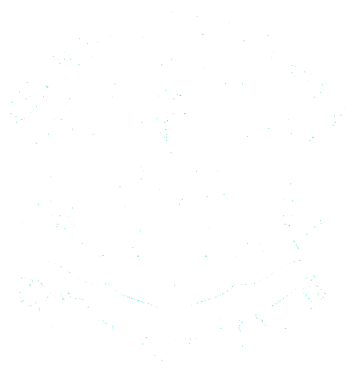 Brnad Logo